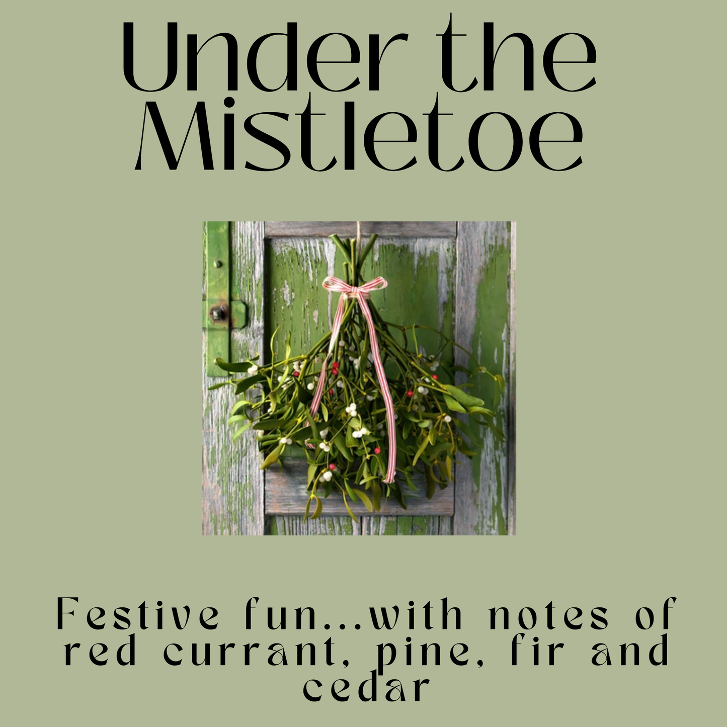 Under the Mistletoe Soy Wax Candles