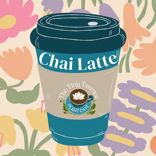 Chai Latte