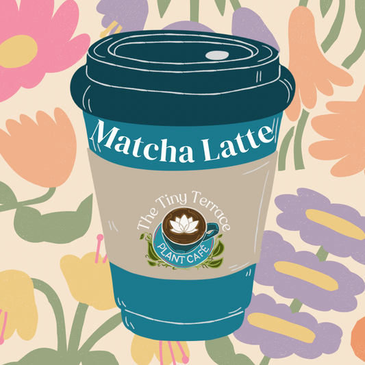 Matcha Latte