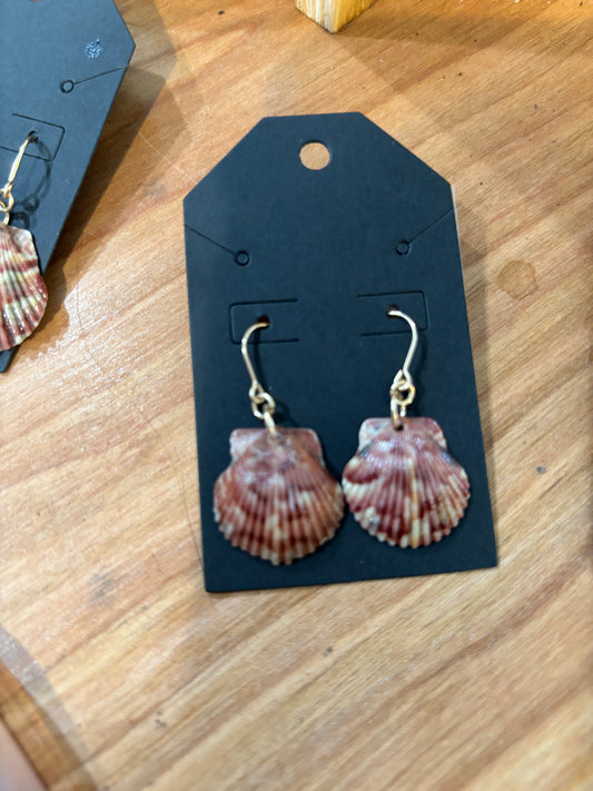 She sells shell earrings