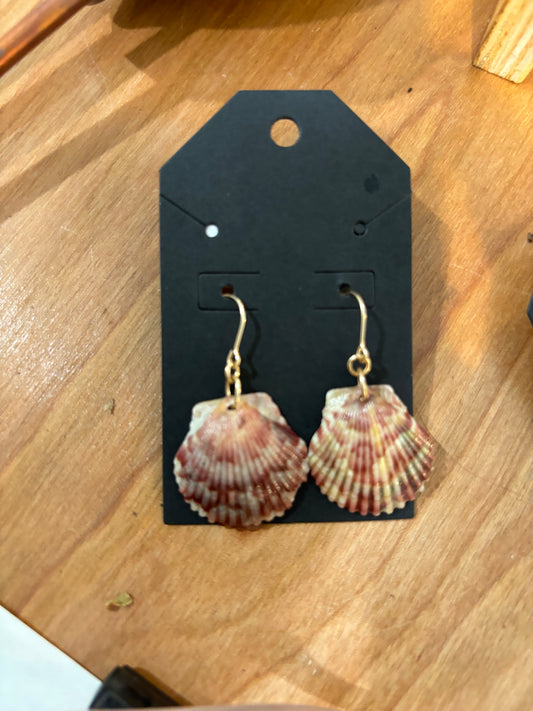 She sells shells earrings