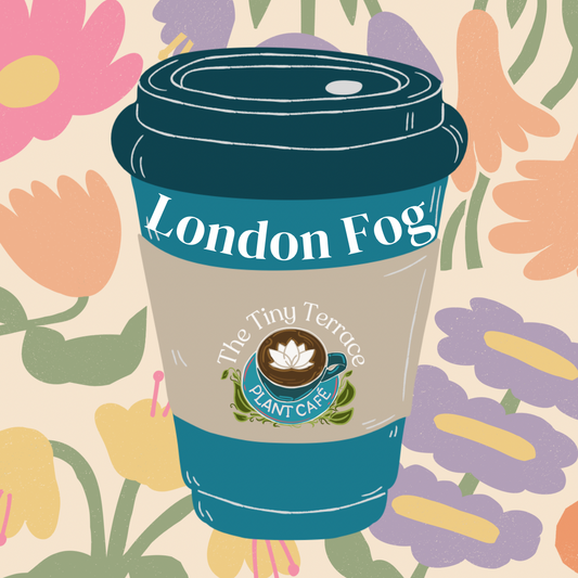 London Fog