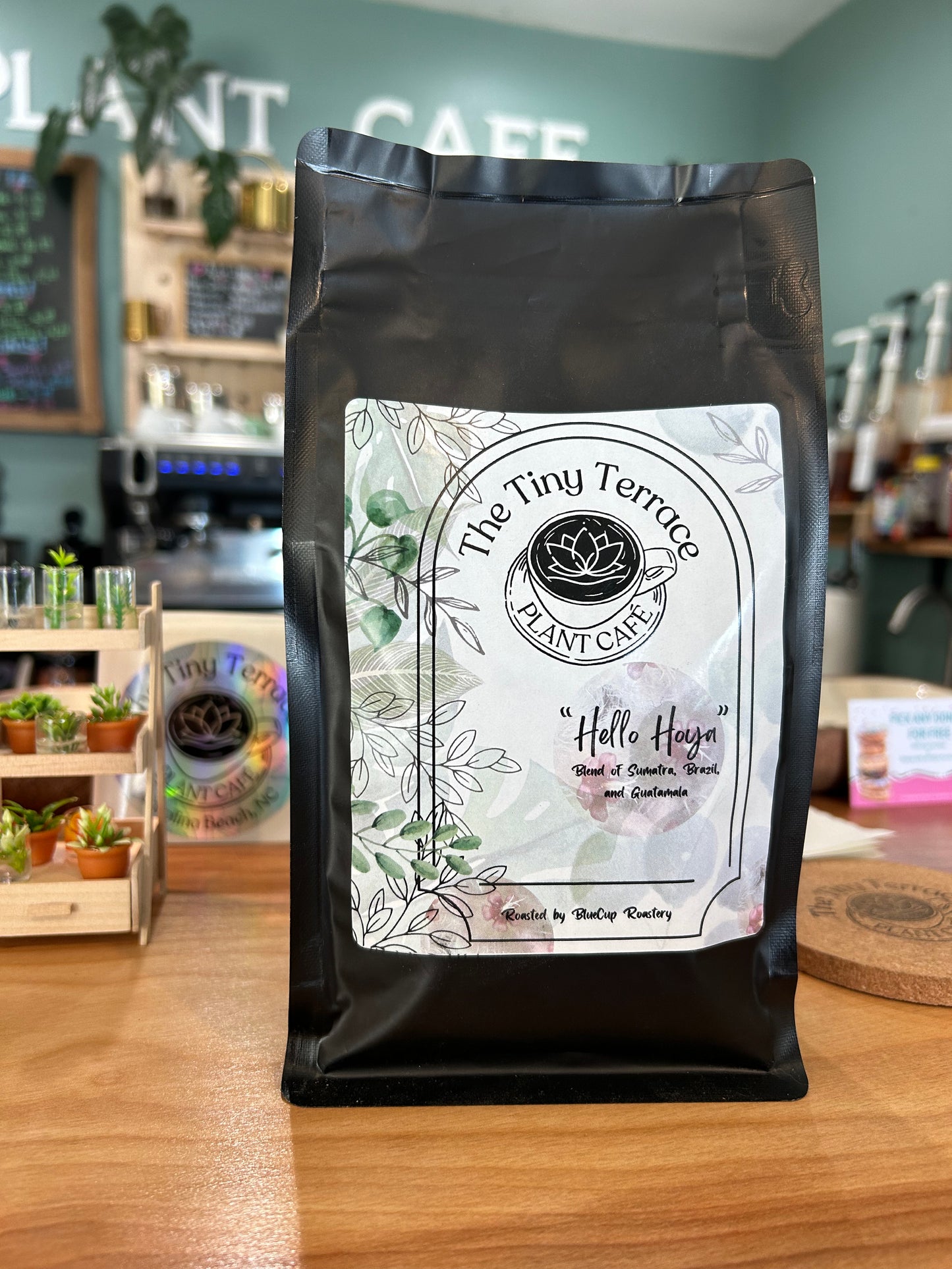 Coffee Beans- Hello Hoya 12oz