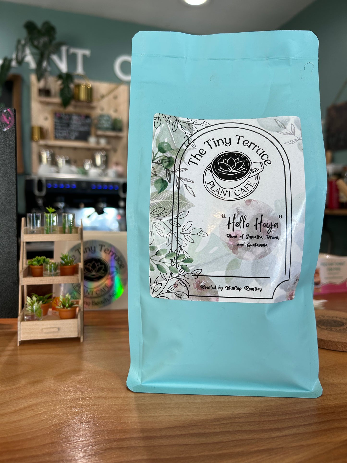 Coffee Beans - Hello Hoya 1lb